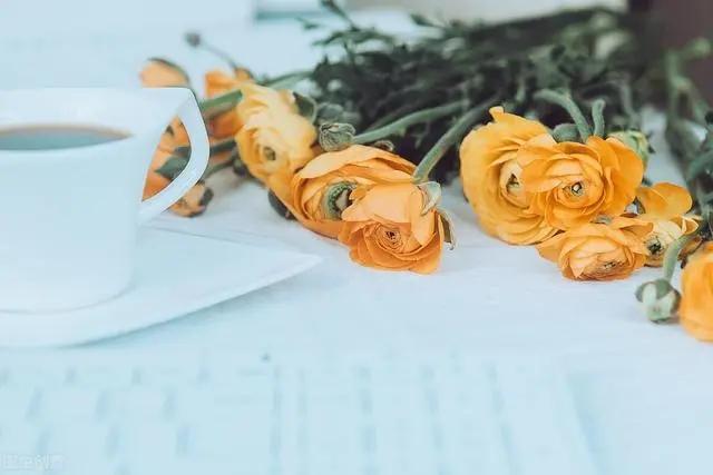 2022年，不想外出务工，如何在乡下月入过万？