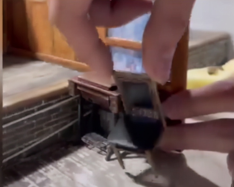 男子耗时18天完成“迷你版”张同学老家，看呆网友