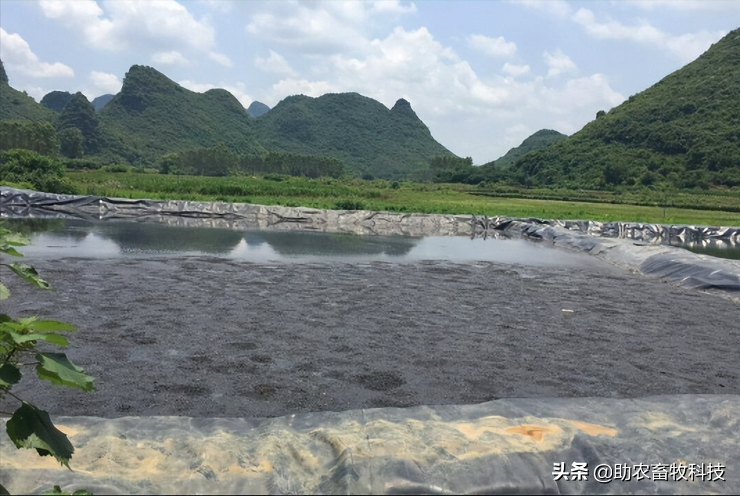 养殖场废水两种低成本快速处理技术，短时间解决环保问题