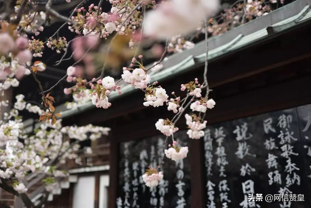 写清明节的古诗十首(关于清明节的古诗四句大全)