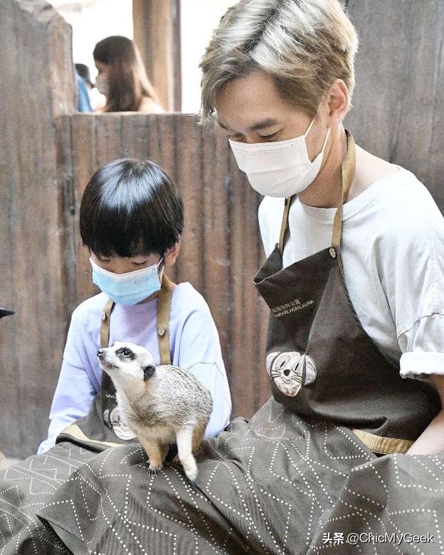 李泽楷儿子一年20万学费！盘点富二代星二代的贵族学府