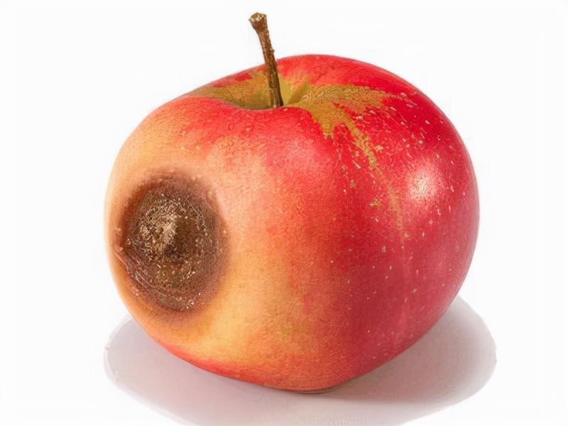 转发｜水果烂了，能把坏的削了继续吃吗？医生给出几点不吃的理由