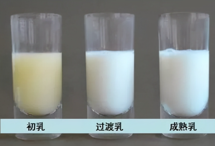 宝妈母乳质量高低，从宝宝的表现就可看出，颜色不是唯一标准