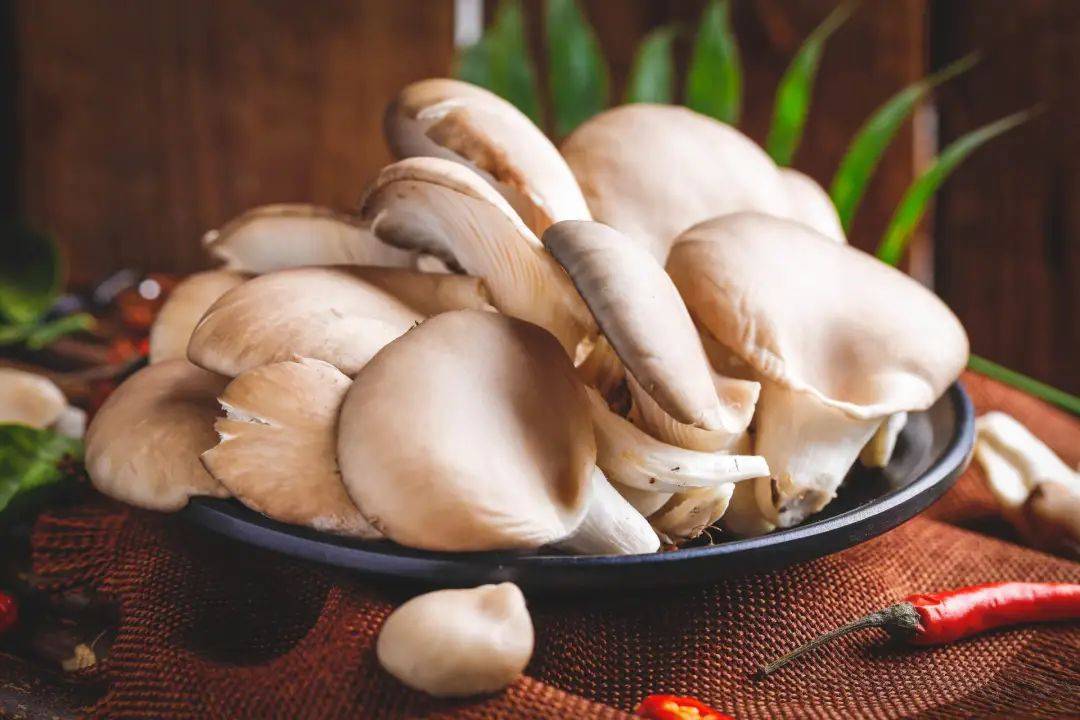 带你认识常见的16种菌菇