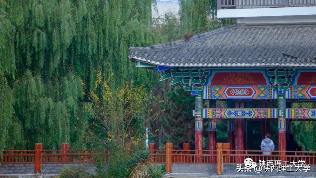 欢迎报考丨我们在陕西理工大学等你