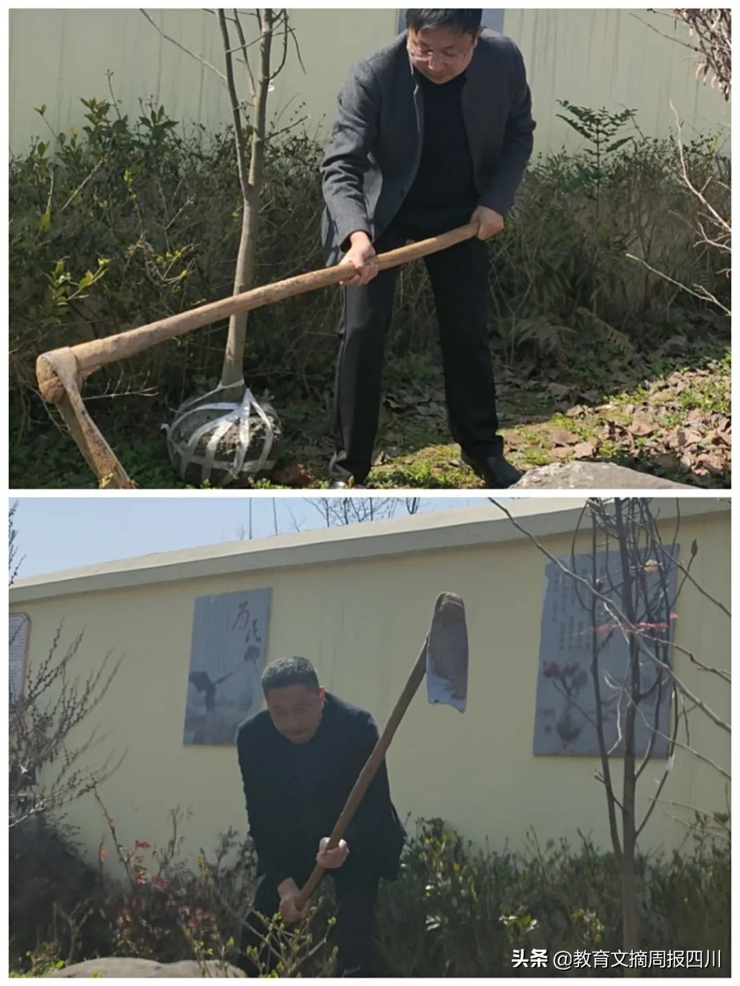 巴州區(qū)梓橦廟小學(xué)開展植樹節(jié)活動(圖3) 巴州區(qū)梓橦廟小學(xué)開展植樹節(jié)活動(圖3)