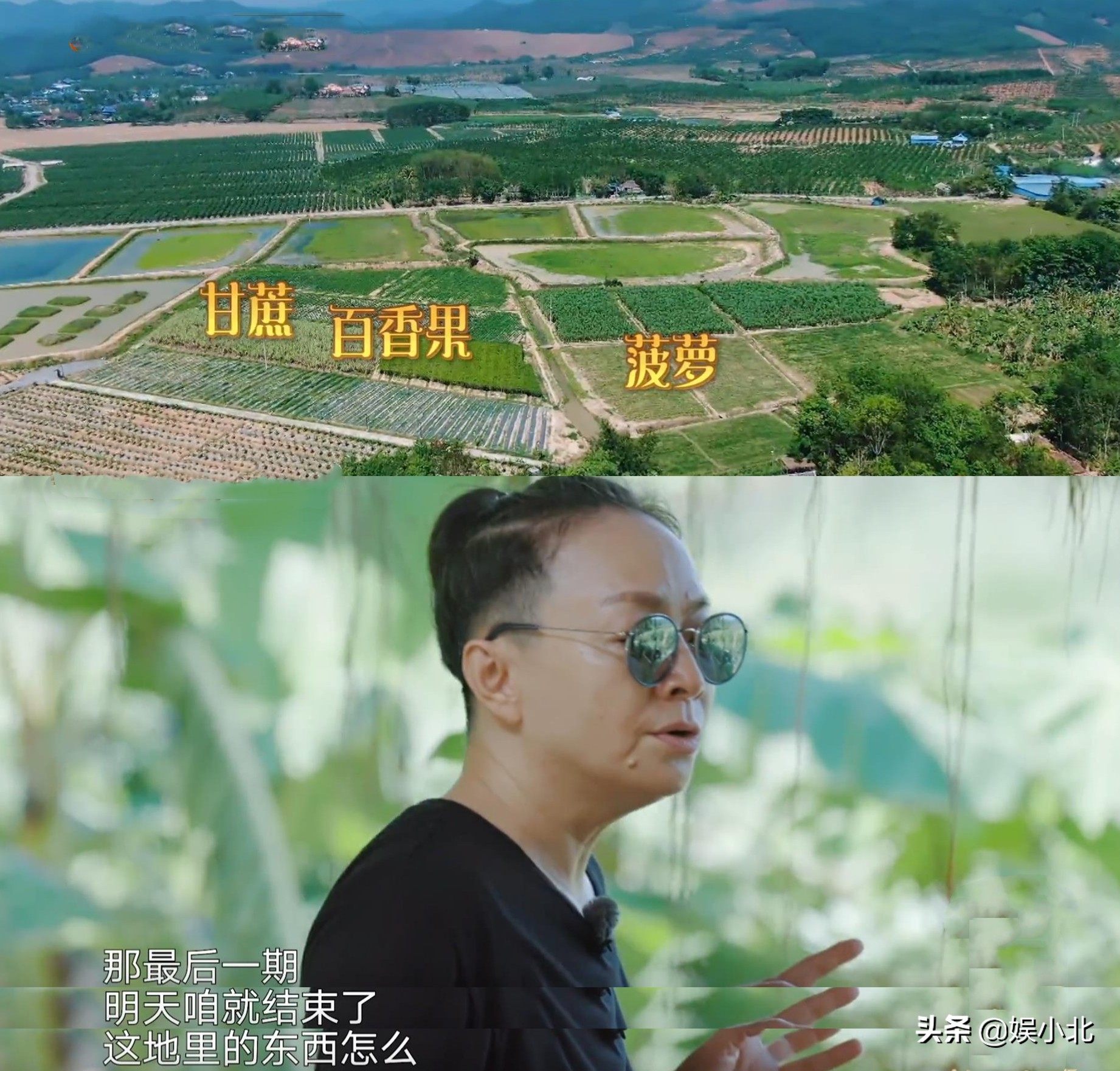 富人伪穷，穷人看戏，才是毁掉《向往的生活》的真凶