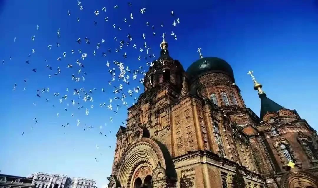 霸榜！7大景区上榜东北地区最受欢迎景区TOP10
