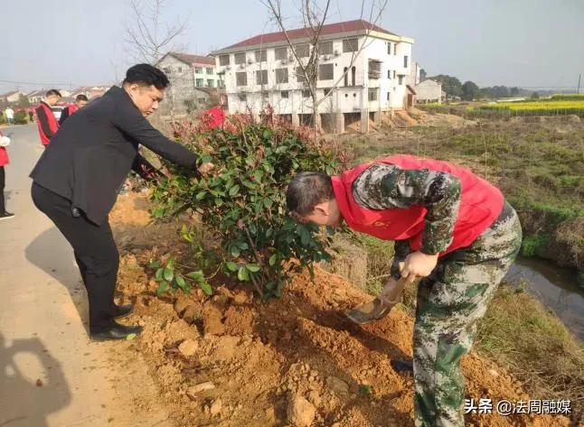 澧县梦溪镇开展义务植树活动