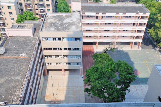 盘点4所广东的优质专科学校，低分段学生重点考虑，奉上单招专业