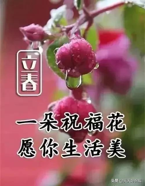 立春，祝福问候早送上，致我的亲人朋友