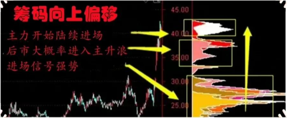 经历爆仓的老股民终于扭亏为盈了！只因看懂了“筹码”，值得收藏