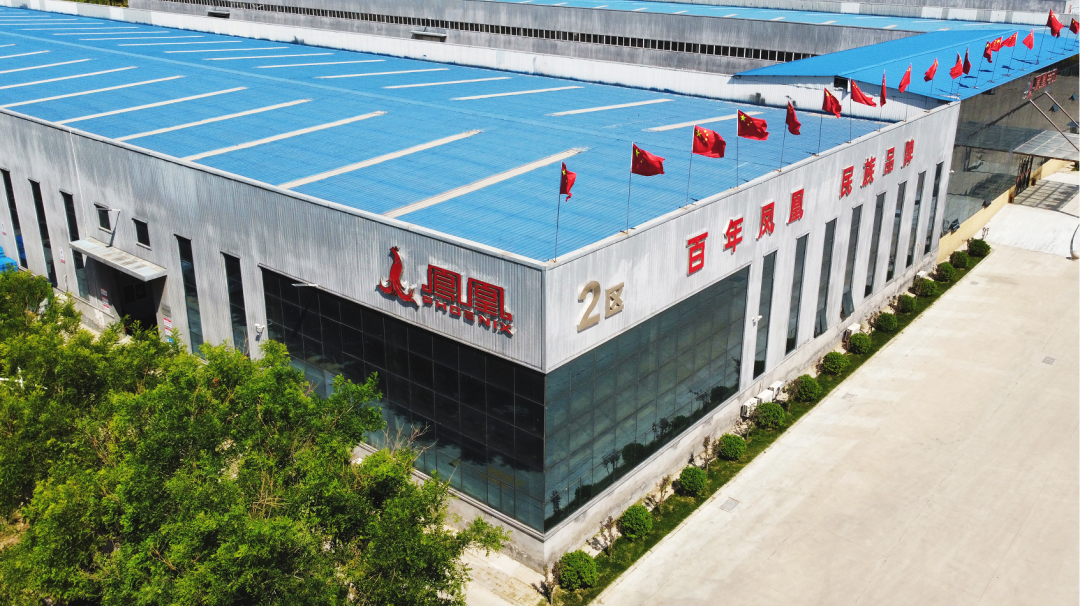 民族品牌凤凰：强势攻占电动两轮市场，重金邀您共赢未来