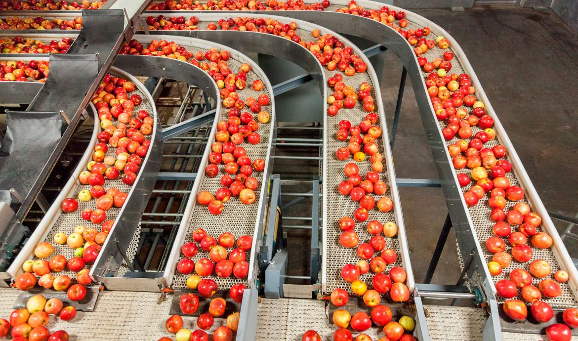 食品科学与工程类专业：民以食为天，美食也需要有人来研究创新