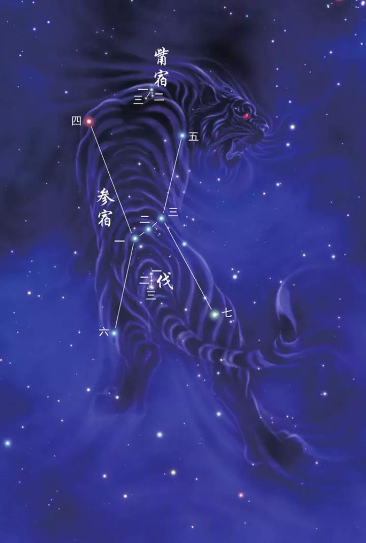 参水猿星宿,柳土獐星宿_大山谷图库
