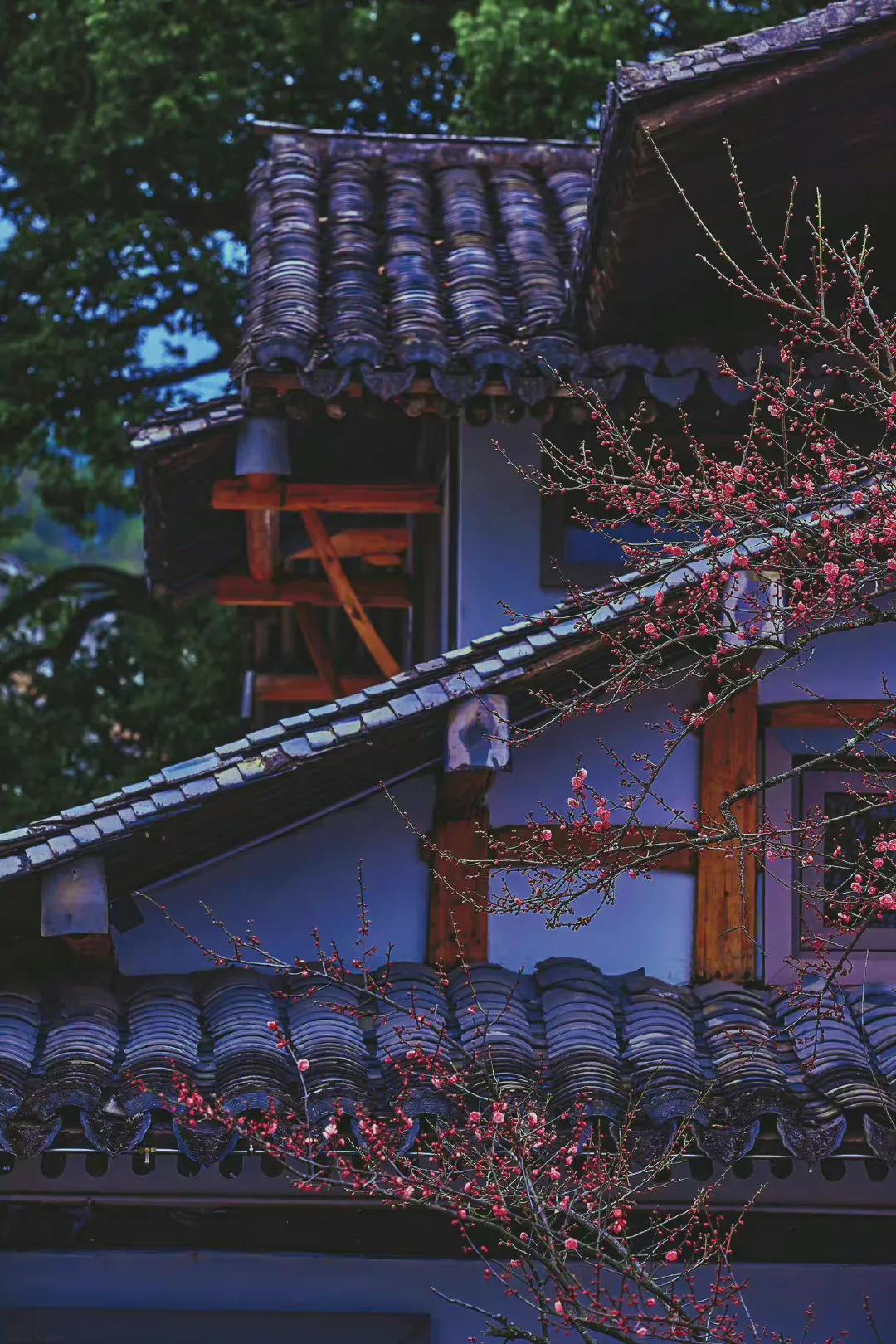 路很长，但是需要一步一步的走