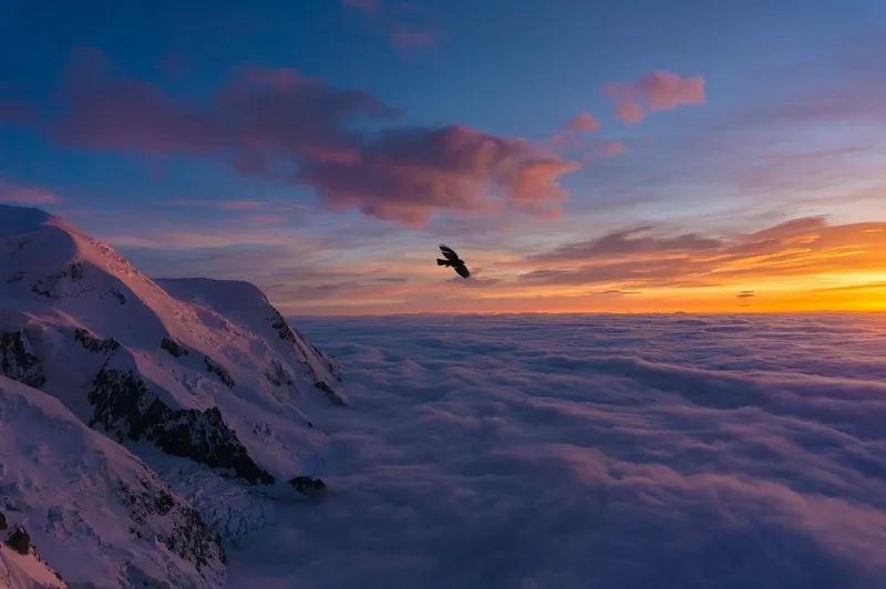 碎片时间学编程「69]：使用快速排序算法对数字数组进行排序