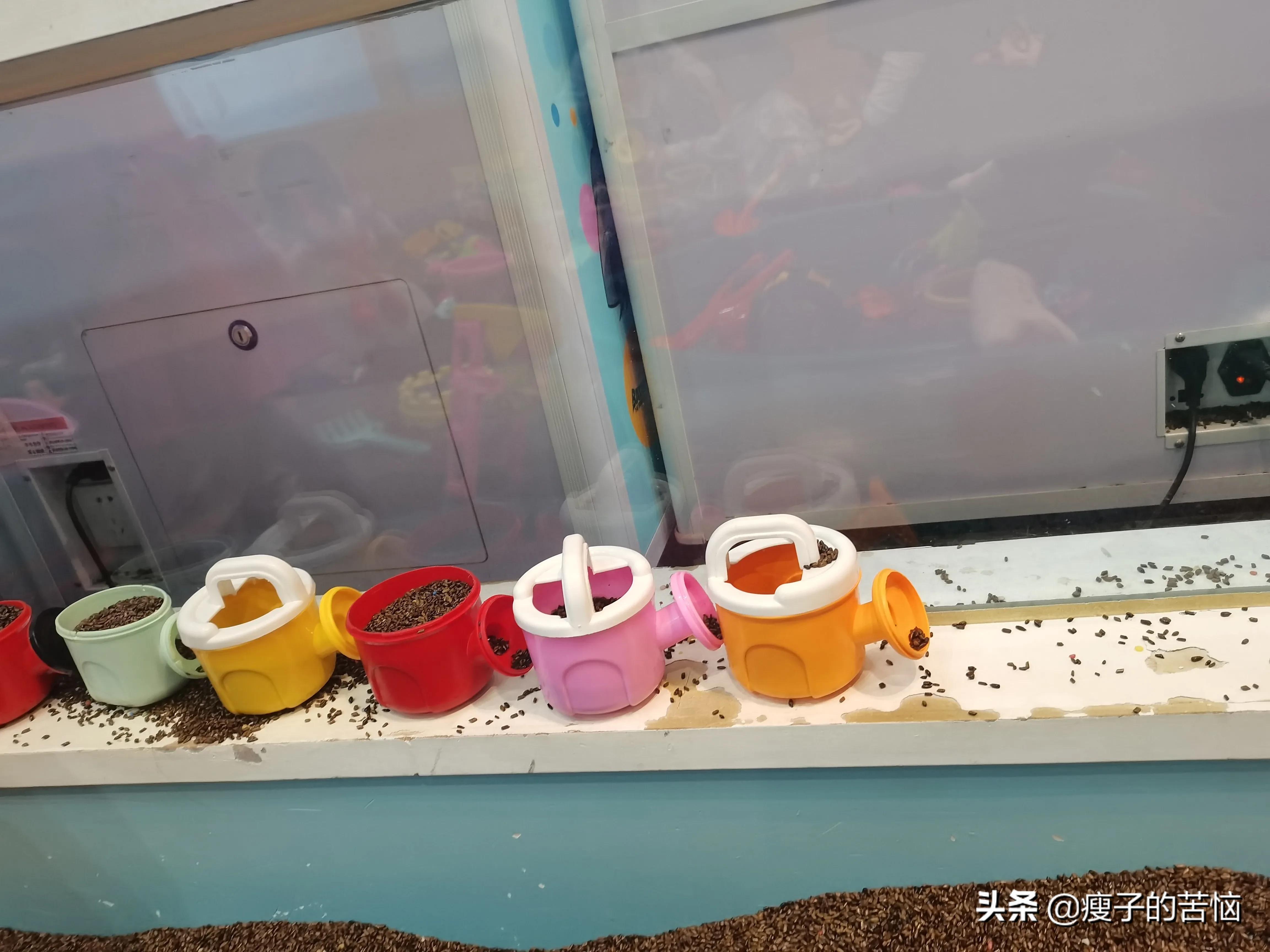 自媒体图文创作，除了有收益能变现外，这些好处是你想不到的