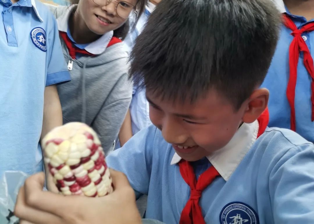 发扬劳动精神 争做先锋少年｜记川大西航港实小劳动技能大赛活动