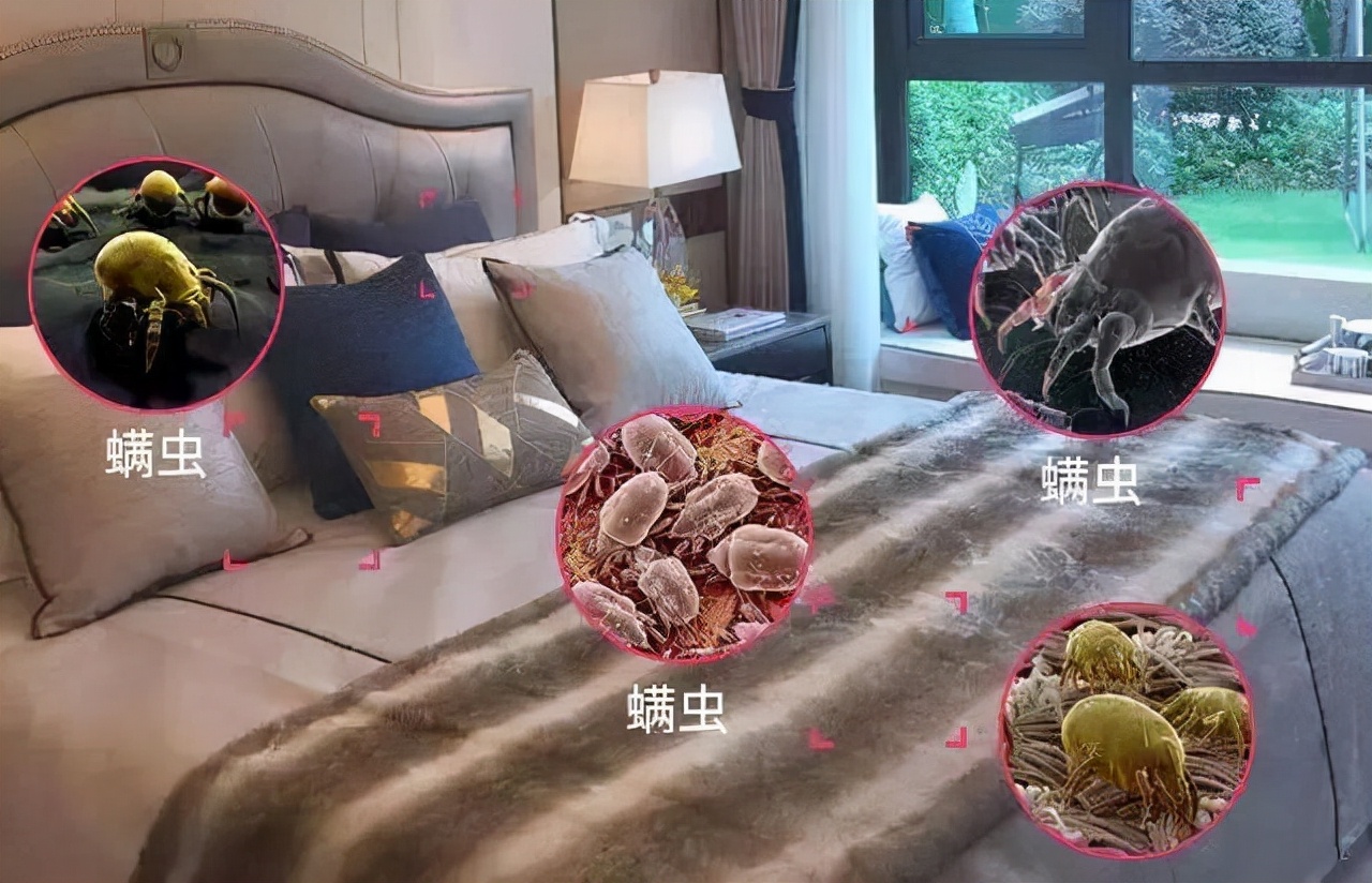 小孩身上若出现"这3个迹象",或说明床上螨虫"成窝",别忽略