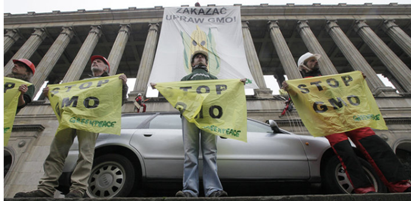 中国人发明世界上第一条转基因鱼，为何无法上市？