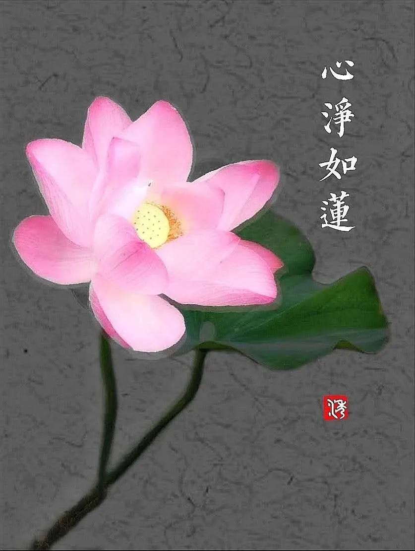 5G时代，更需要修炼5J内功