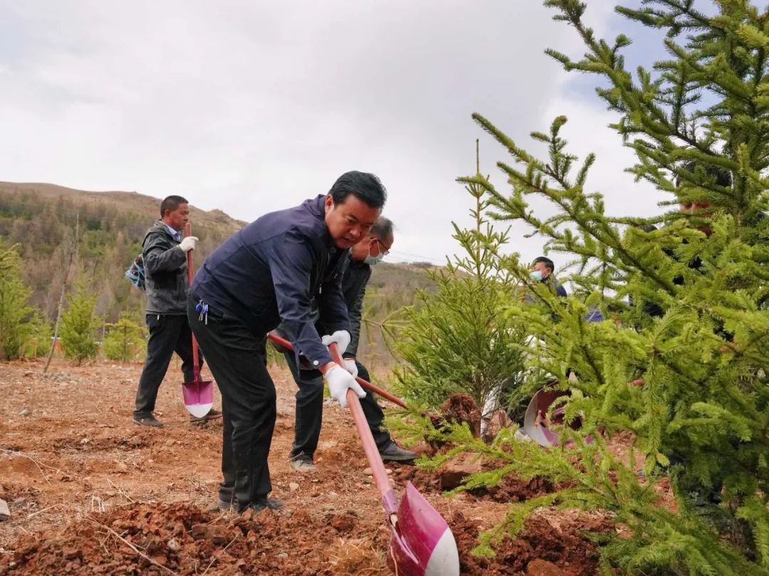 临潭县四大班子领导带头参加春季义务植树活动