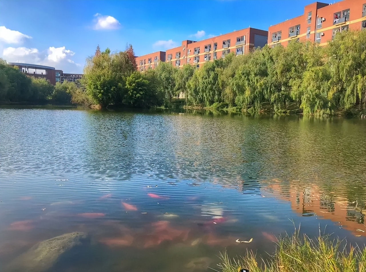 西南财经大学天府学院官网首页（喜讯）