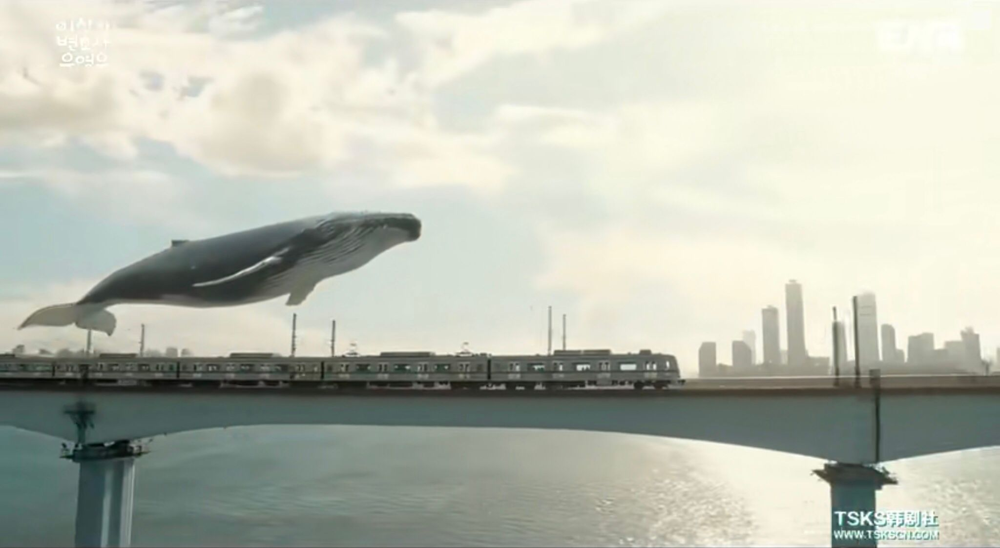 豆瓣9.1分的《奇怪的律师禹英祐》，她究竟有多特别