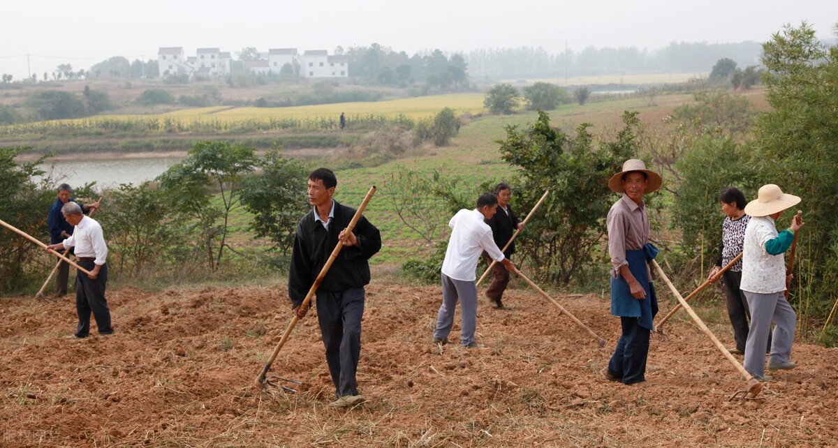 土地承包合同在民法典中写永久使用无效吗？