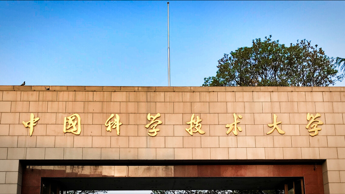 中科大数学系，将来就业有问题吗？