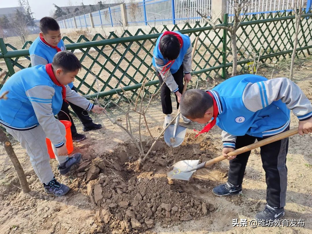 周播报 | 潍坊校园新闻（03.07—03.13）