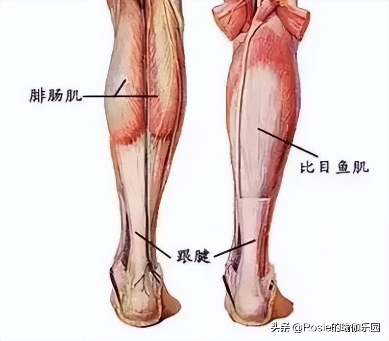 脚踝粗不自信，4步带你瘦腿瘦小脚踝，像阿雅一样自信成女王