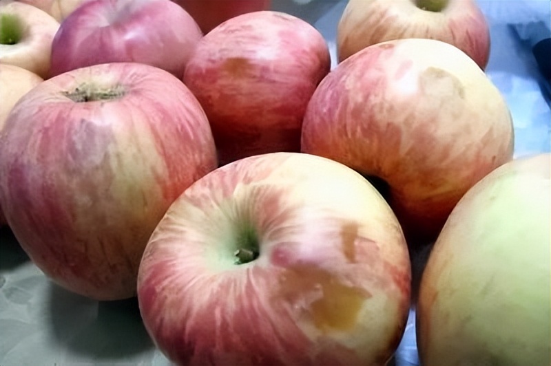 夏季食物更容易腐敗變質，請謹防食物中毒