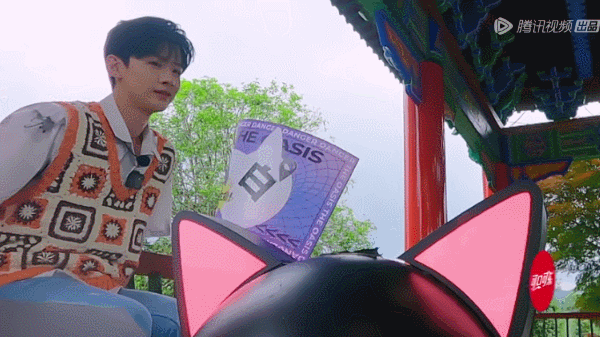 终于有节目玩博弈机制本了