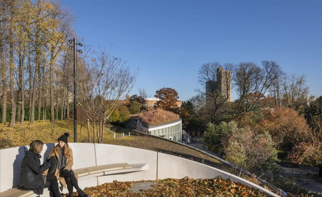 美妙的公园设计，是“纯欲天花板”