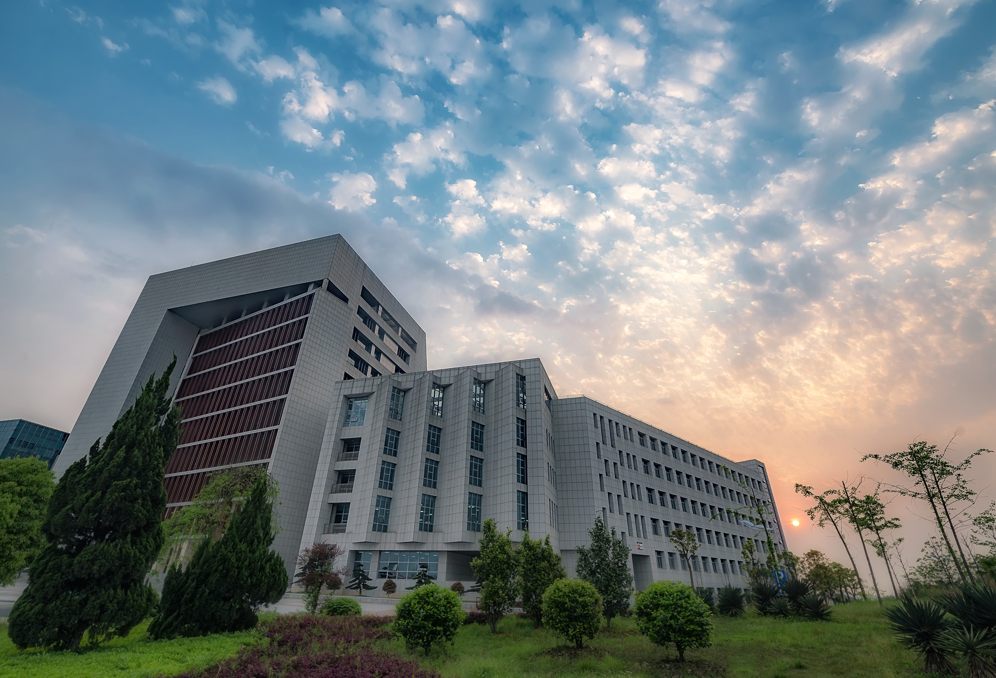 13省19所“学院”，领跑更名“大学”，谁能率先冲过重点线？