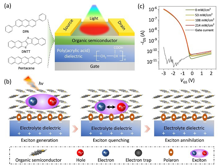 天津大学李立强课题组：无惧强光的有机晶体管