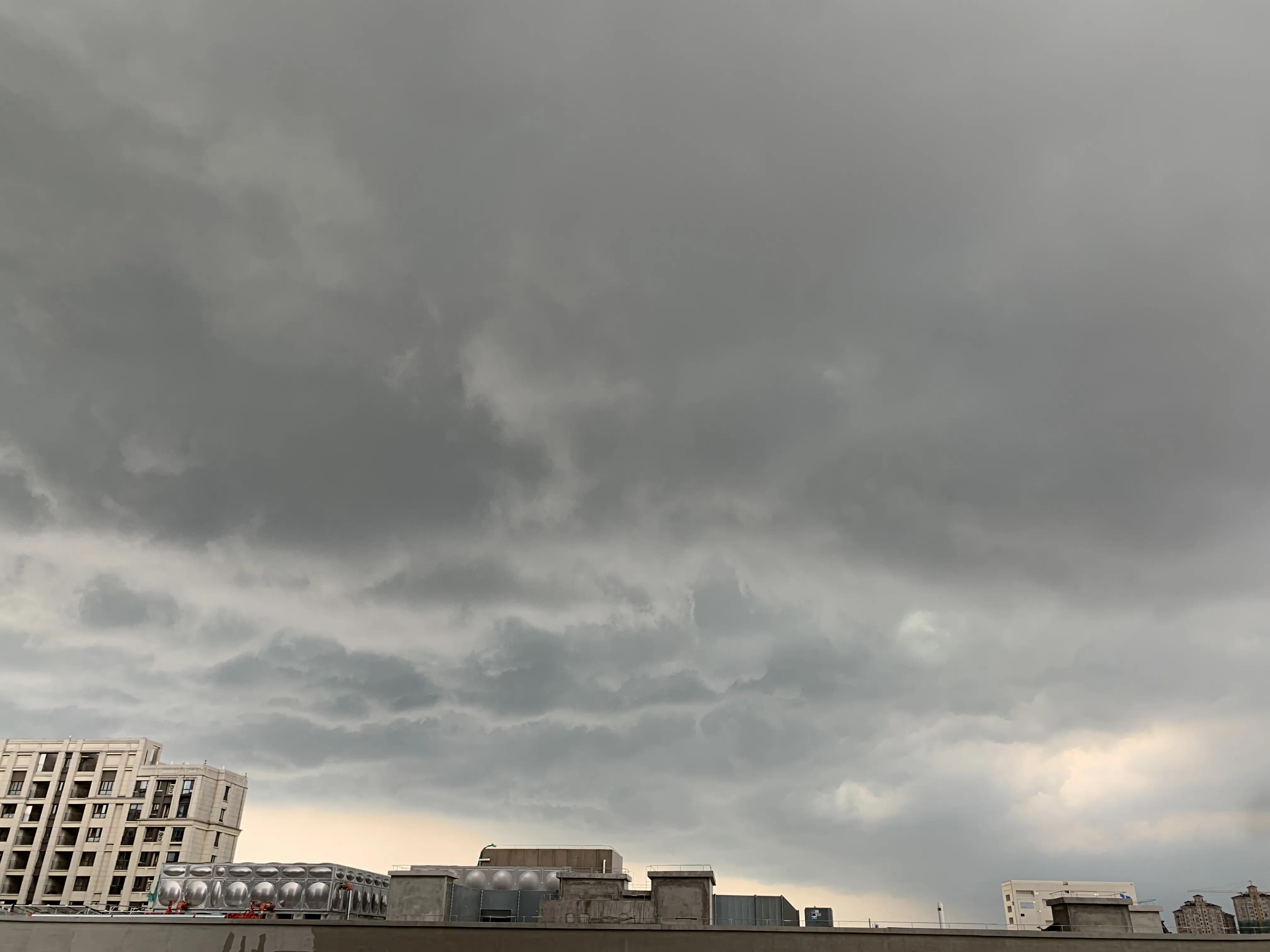 暴雨突袭上海堪比台风过境