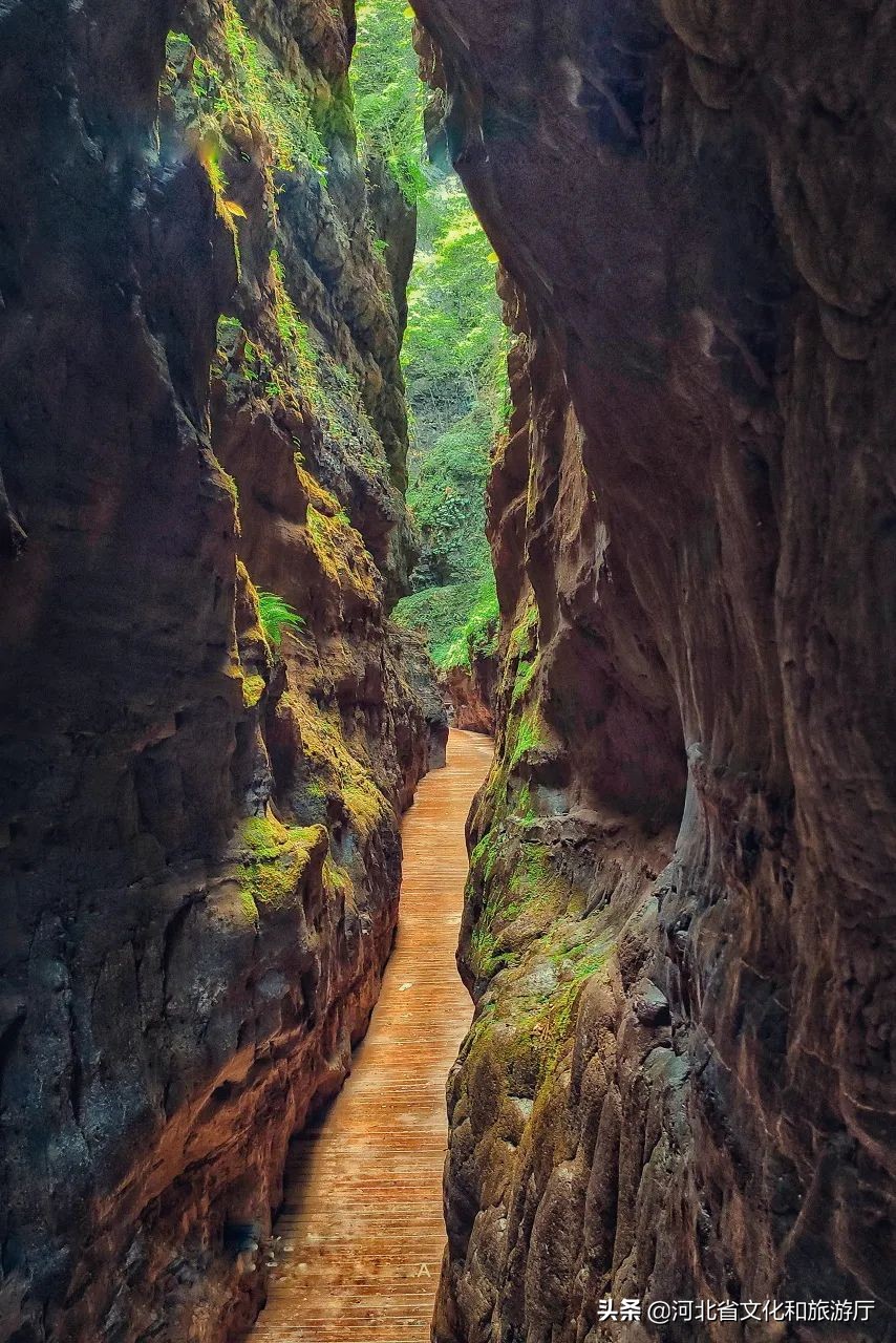 河北的“驴火之城”，含金量到底有多高？