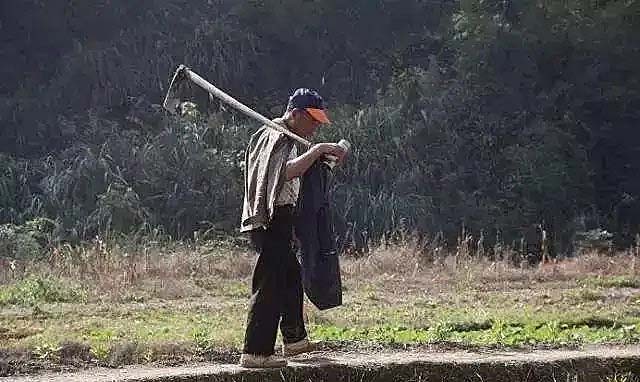 武汉三口之家：父女三人无血缘，父亲不是亲生的，妹妹不是亲妹妹