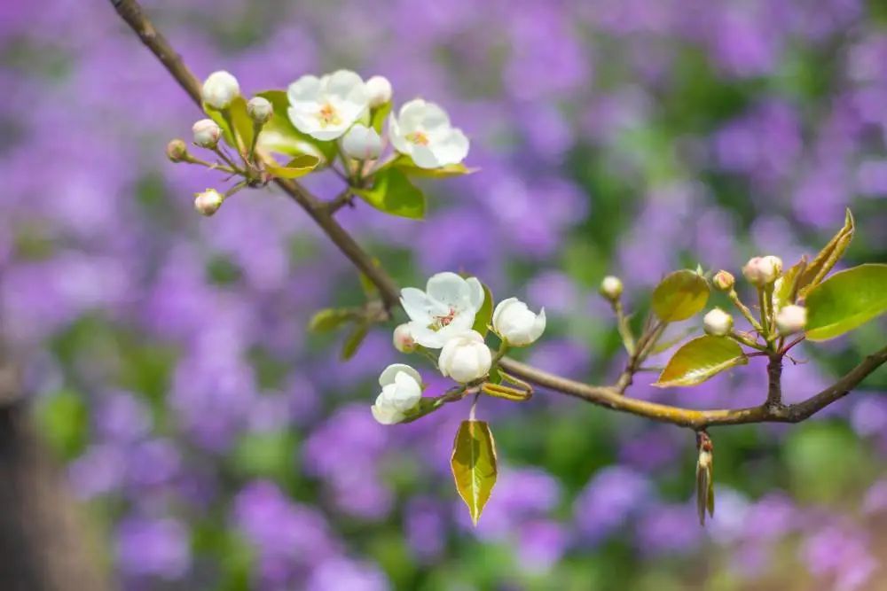 侯<a href=http://www.cngansu.cn/news/ target=_blank class=infotextkey></a>ܶӡӪ̨ • ߹¡ɫ԰Ƿ﷫ʱ