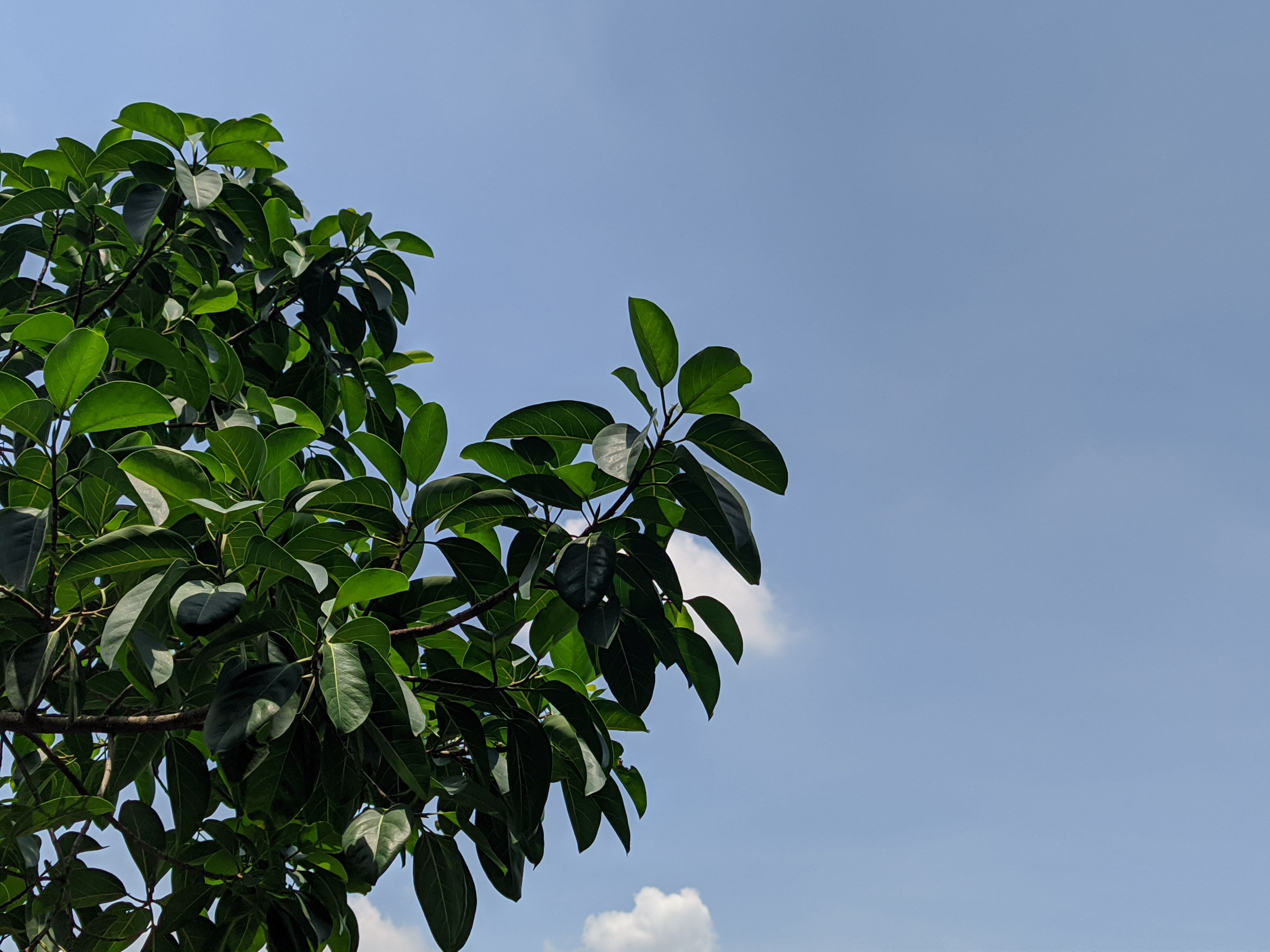 聊聊骁龙865的经典手机，小米10Pro