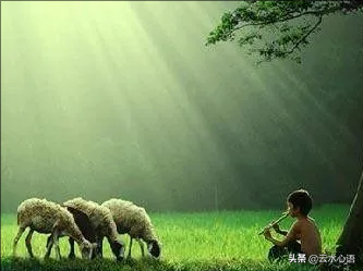 十首描写长安的古诗词，精彩纷呈，值得欣赏和收藏