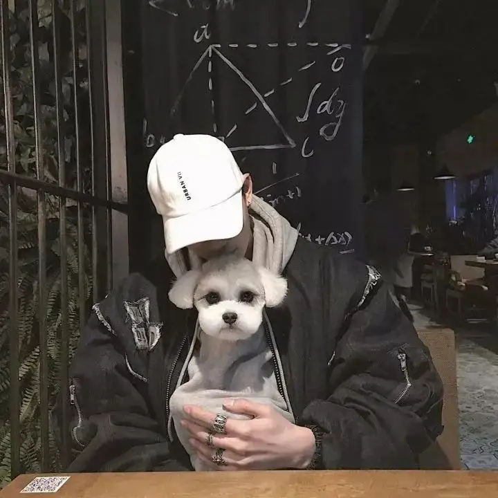好看的微信动漫男头像丨目之所及，万千欢喜