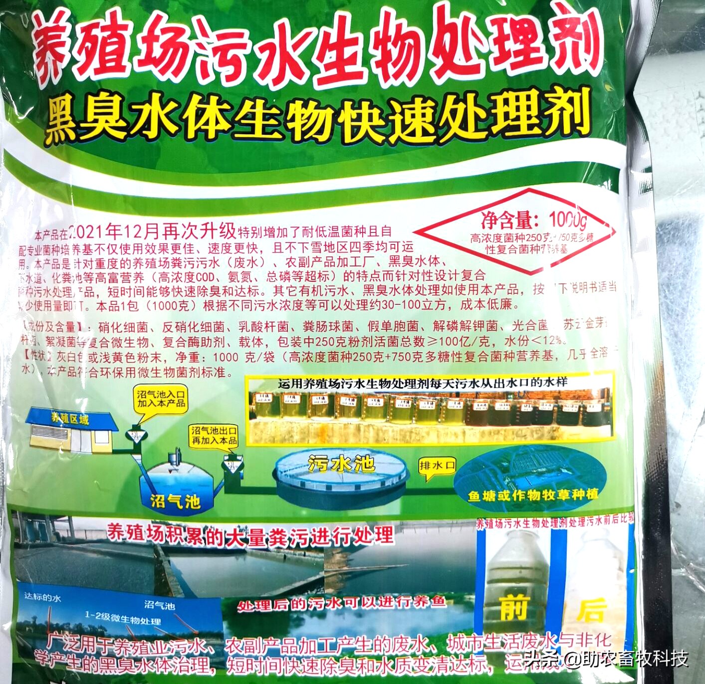 养殖场废水两种低成本快速处理技术，短时间解决环保问题