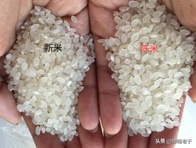 今天才知道，分辨“陈米”和“新米”只需这4招，建议收藏备用