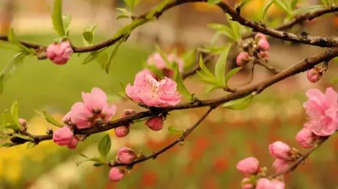 无边春雨细如愁，描写愁最好的九首古诗词，且看愁都是什么样的？