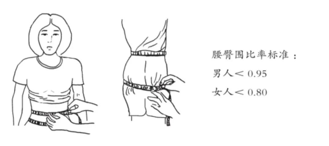 怎么估算身体能量需求