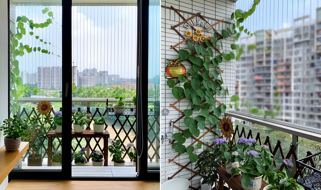 上海49岁阿姨，因太会布置而走红，把60㎡小家装得堪称收纳教科书